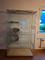 Grosses Glasterrarium 100×50×163 cm, mehrstöckig, teilbar